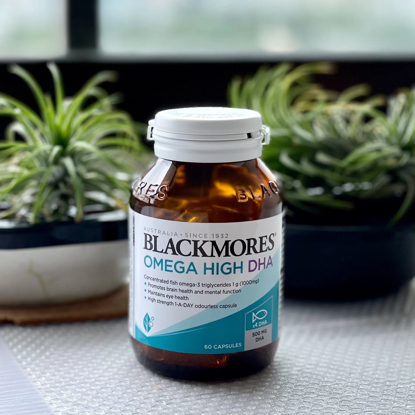 Blackmores omega brain high dha fish oil