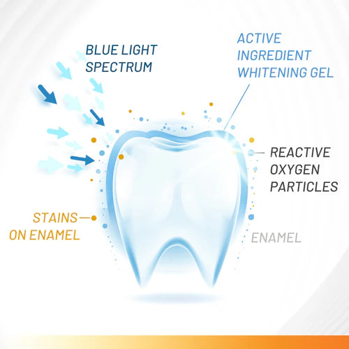 ACCELERATOR Teeth Whitening Kit