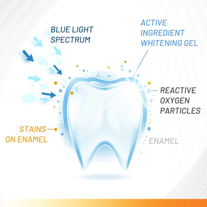 ACCELERATOR Teeth Whitening Kit