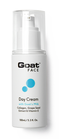 Day Cream 100mL