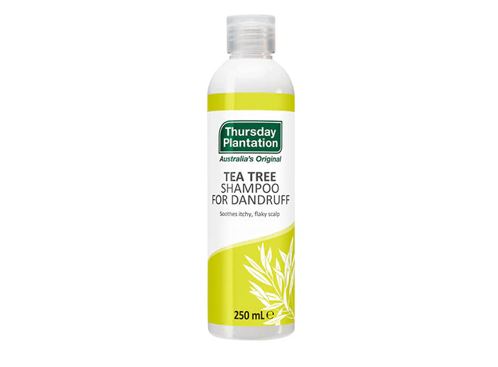 Tea Tree Shampoo for Dandruff